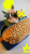 16.png